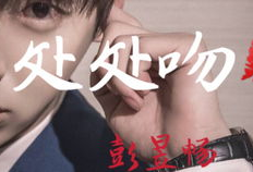 处处吻视频,浪漫邂逅，甜蜜瞬间