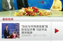 视频中国,视频中的文化瑰宝与时代变迁