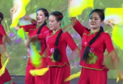 秧歌舞蹈视频大全,视频大全中的民族韵律之旅